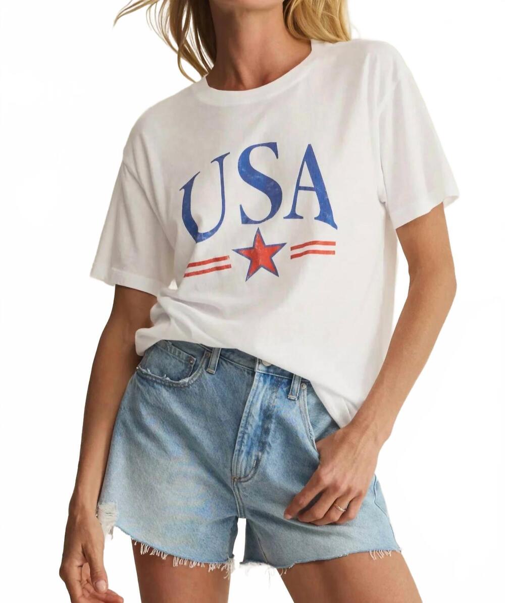 NEW Z SUPPLY usa star boyfriend tee in sea salt